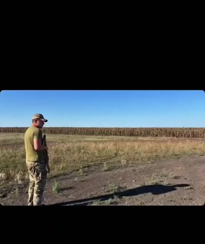 Плит бр 5 облегчённый — видео