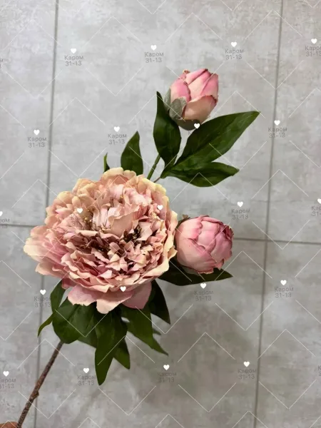 Высота — фото 8