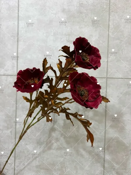 Высота — фото 1