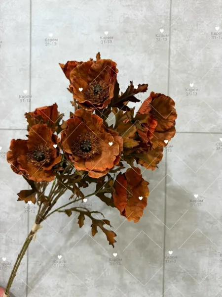 Высота — фото 2