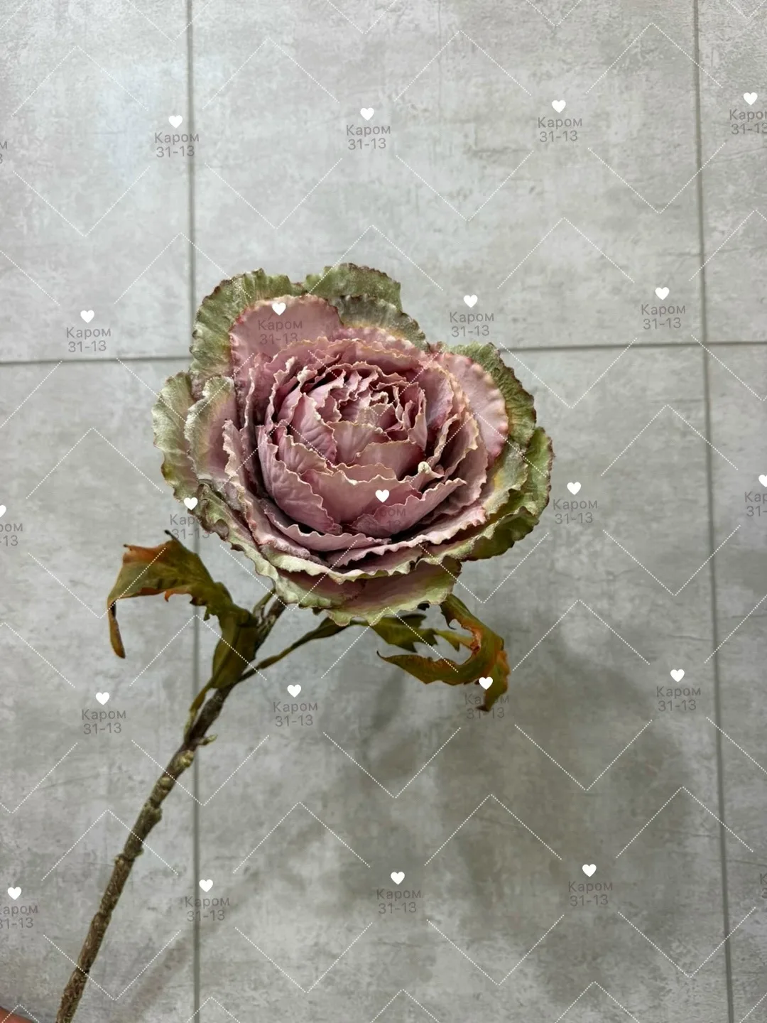 Высота — фото 1