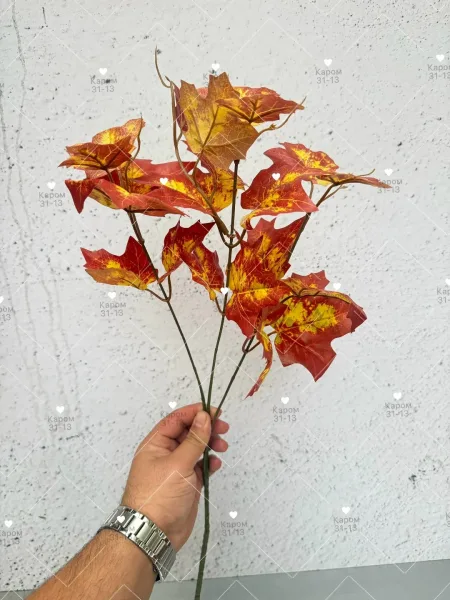 Высота — фото 3
