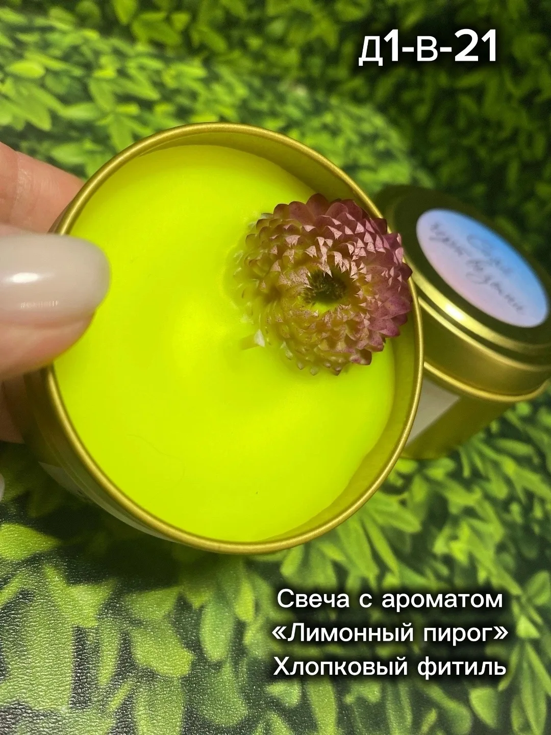 Декор стабилизированный сухоцвет цветка Гелихризум — фото 2