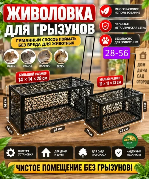 Ремень Большая — фото 1