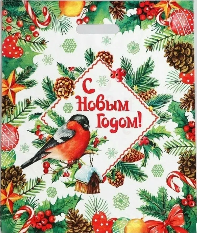 Подарочные пакеты новогодние