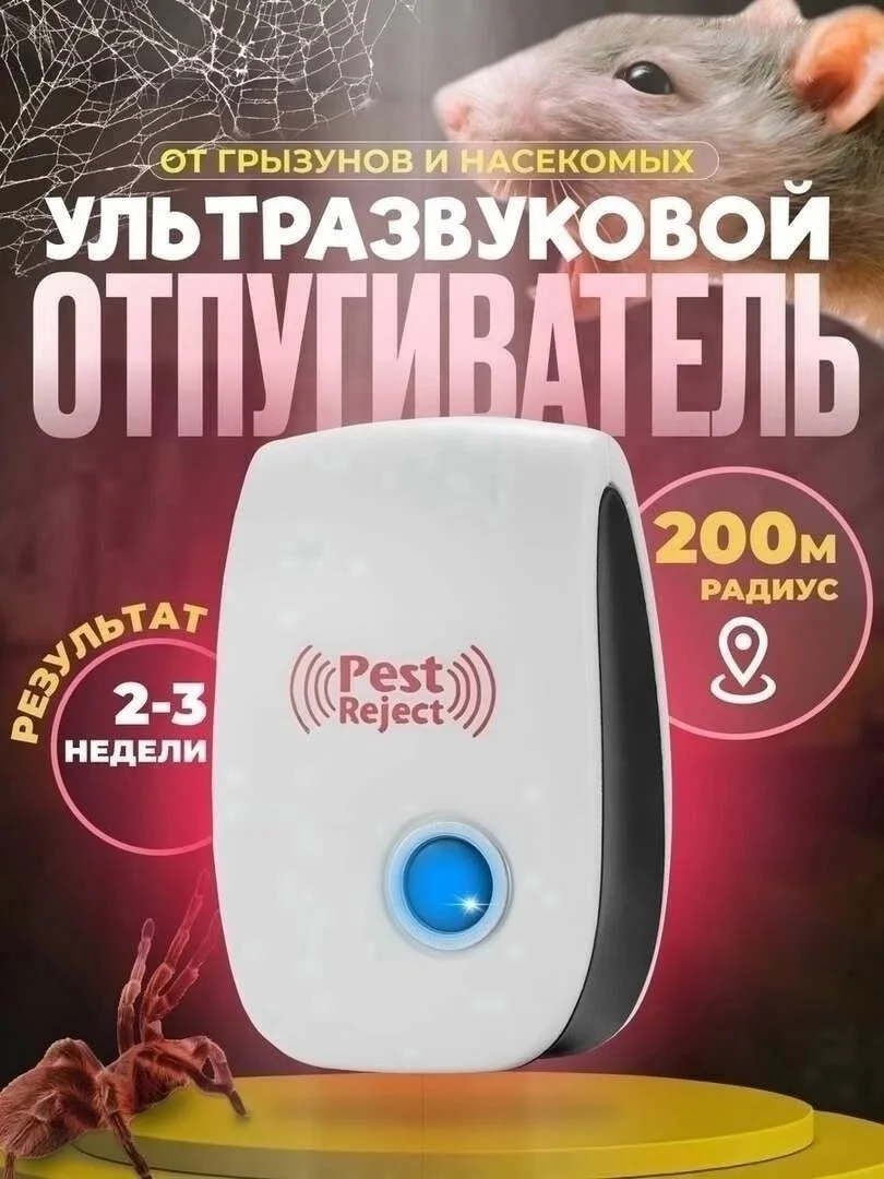Основная информация Белый — фото 7