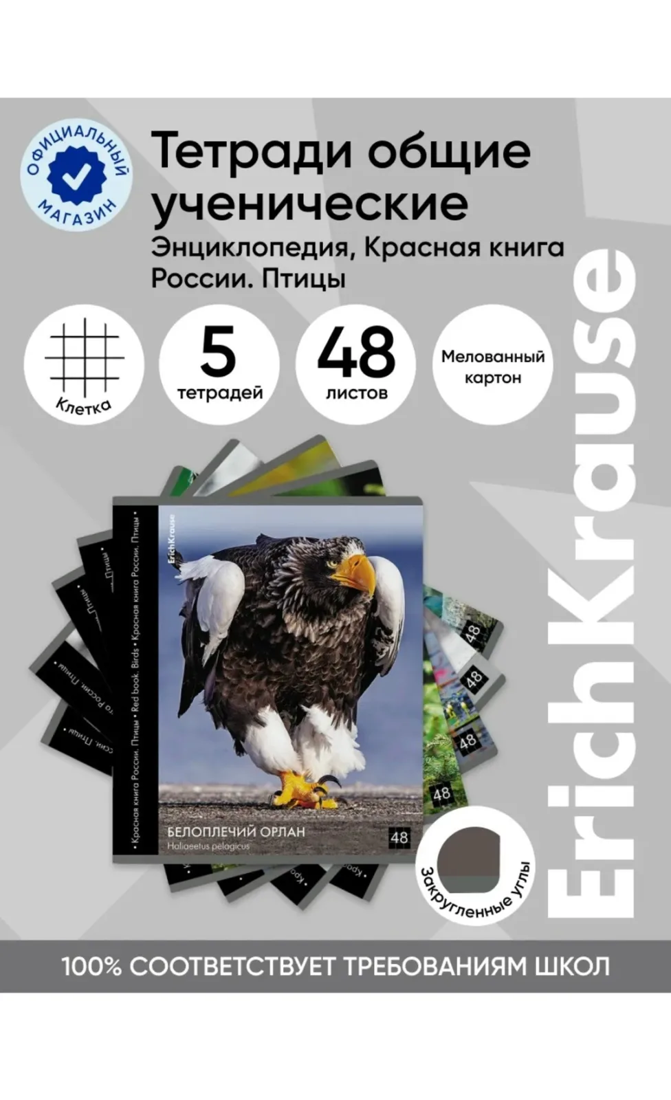 Куртка Упаковки по 5 штук — фото 1