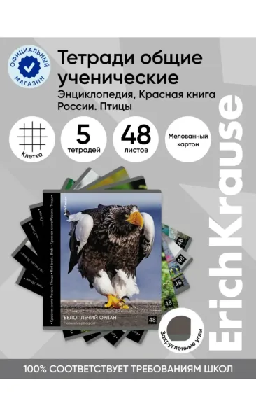 Куртка Упаковки по 5 штук — фото 1