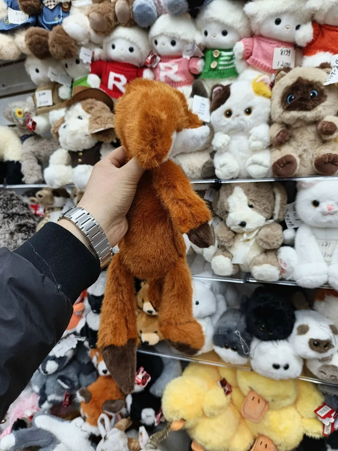 Зоопарк хороший качество — фото 6