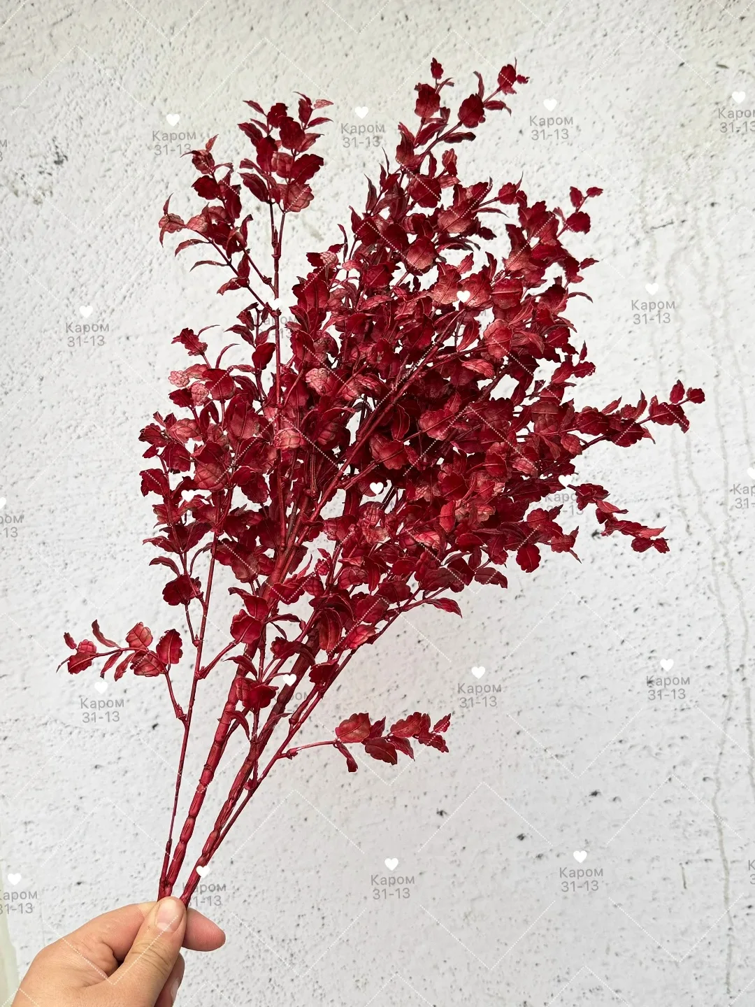 Высота — фото 2