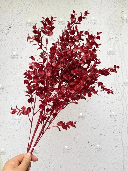 Высота — фото 2