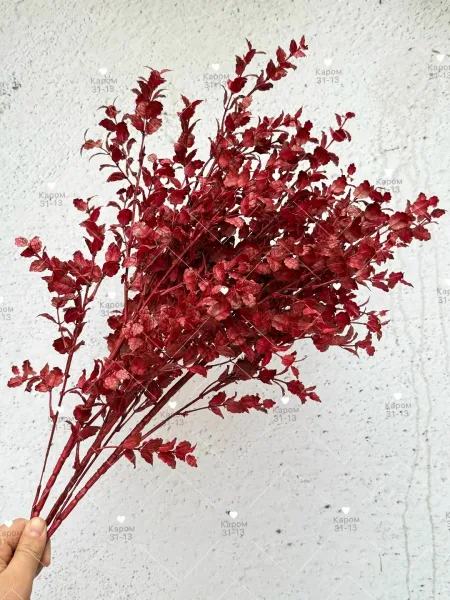 Высота — фото 3