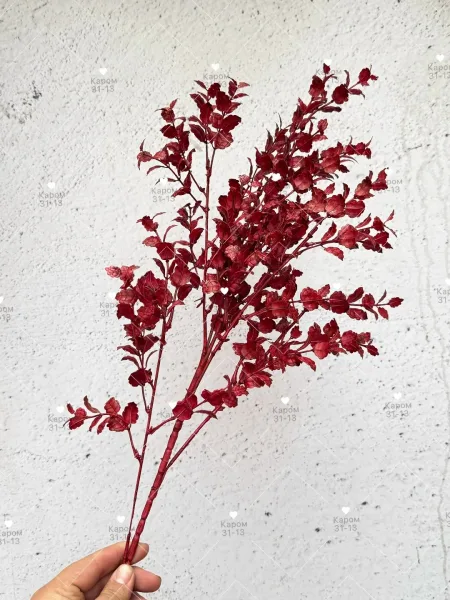 Высота — фото 5