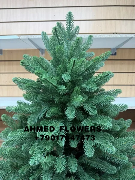 Телеграмм Ахмед — фото 4