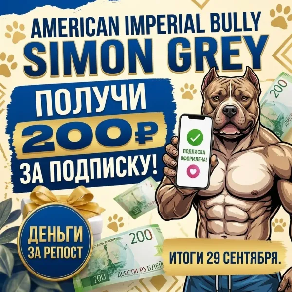 Vk Barkov Net Cделать репост этой записи