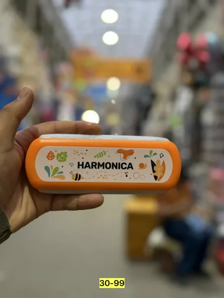 Детская гармошка - музыкальная игрушка — фото 11