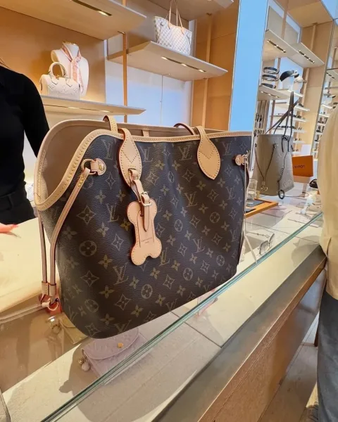 LOUISVUITTON, сумка из канвы и натуральной кожи — фото 8