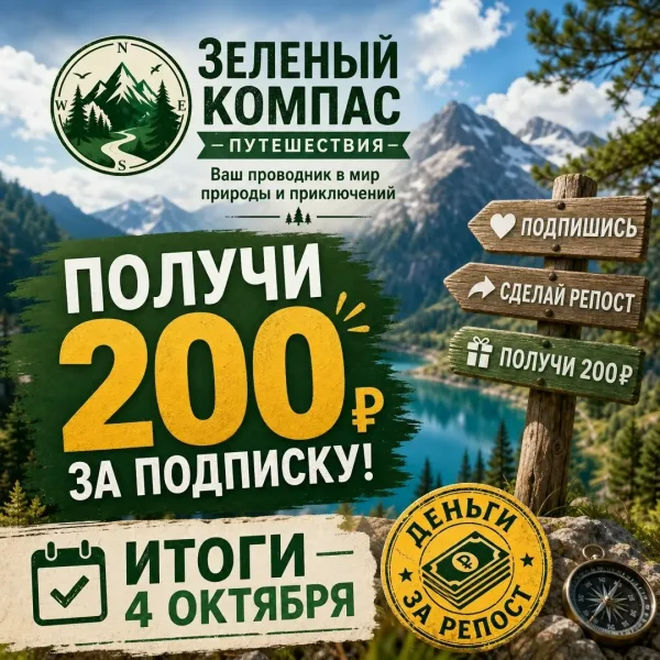 Vk Barkov Net Cделать репост этой записи