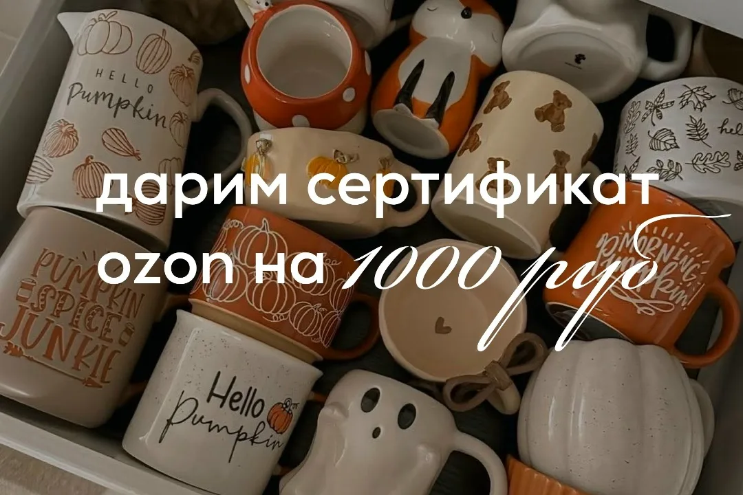 Игрушка Oh My Home 1 победитель — 1 сертификат — фото 1