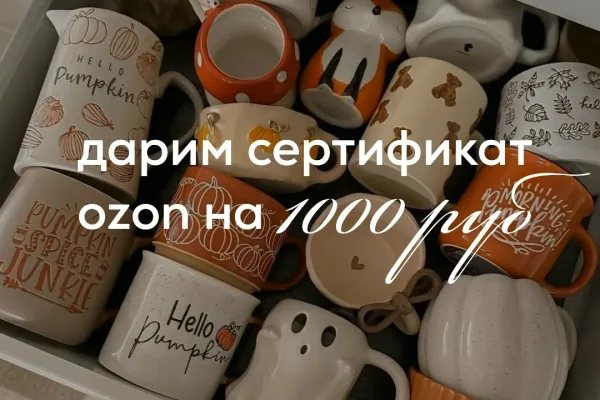 Игрушка Oh My Home 1 победитель — 1 сертификат