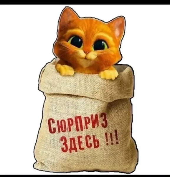 Халява Продаются мешки, в мешках 10 бомбических моделей, / платья / костюмы / двоечки итд — фото 1