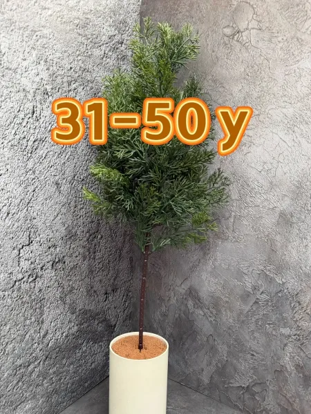 Новогоднее украшение из натуральной ветки туи, высотой — фото 3
