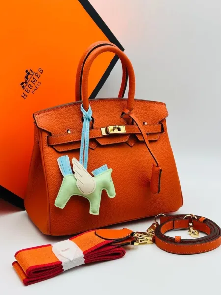 Сумка Hermes Birkin 25 из натуральной кожи — фото 14