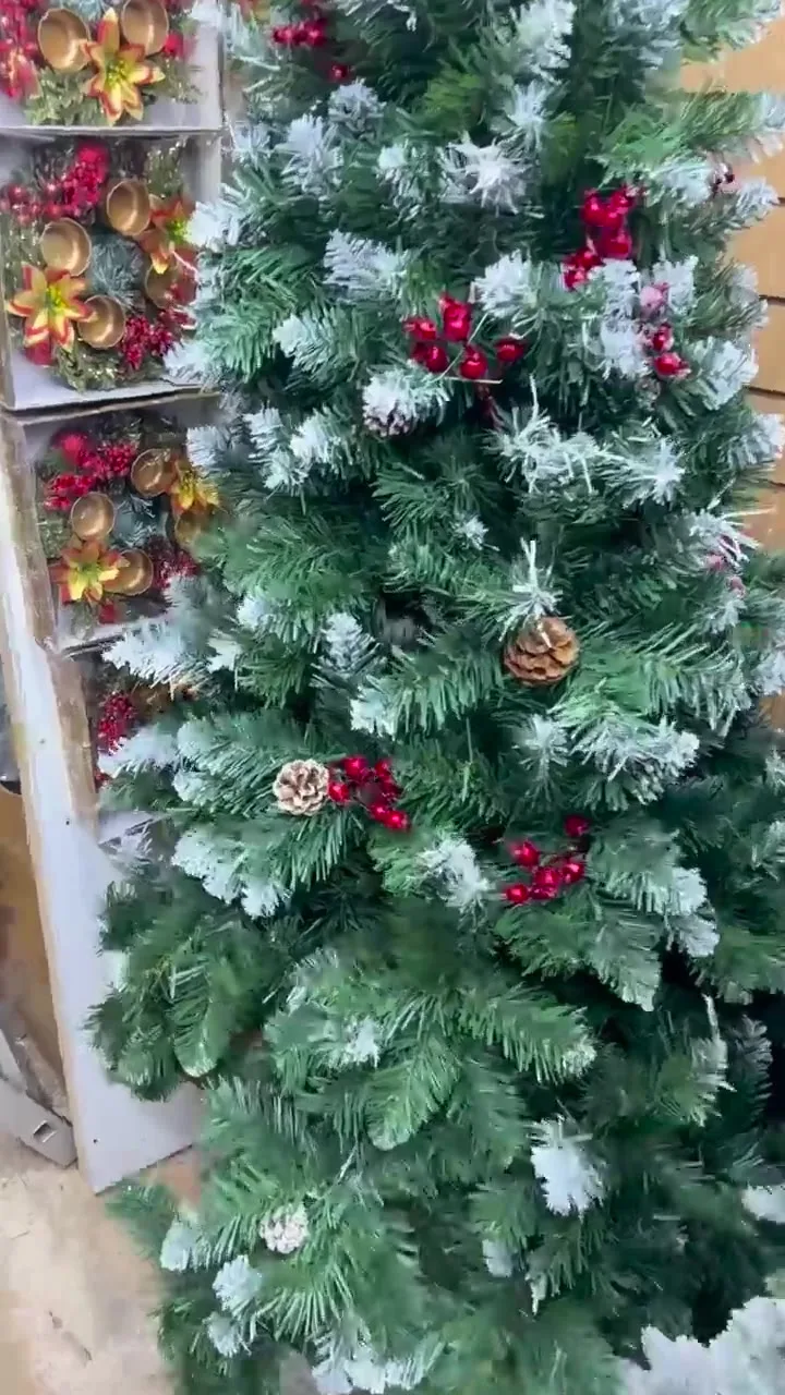 Елка заснеженная с шишками и ягодами — видео