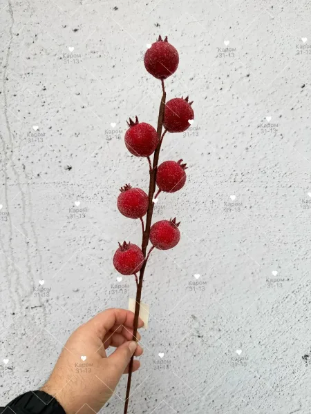 Высота — фото 1