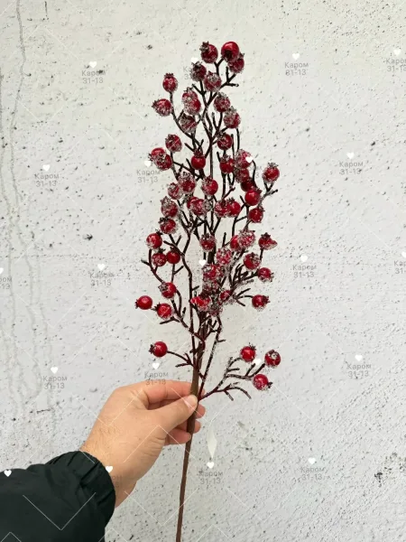 Высота — фото 1