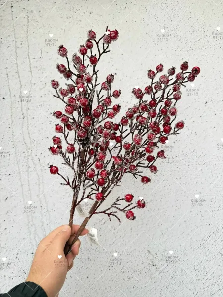 Высота — фото 2