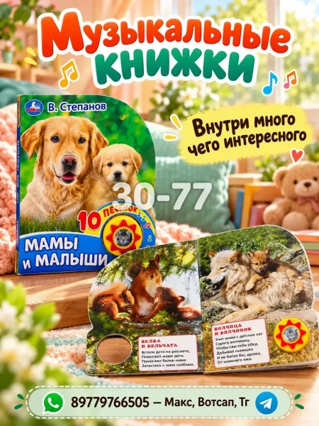 Детские музыкальные книжки в ассортиментах — фото 5
