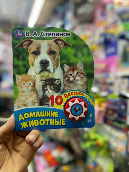 Детские музыкальные книжки в ассортиментах — фото 9