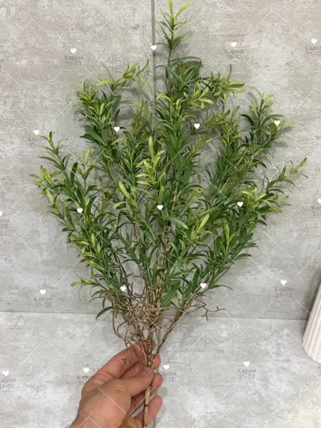 Высота — фото 2