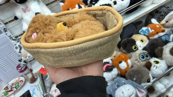 Музыкальная игрушка в виде собаки в корзине — фото 3