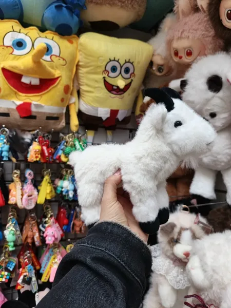 Игрушка — фото 4