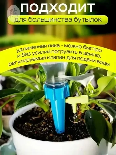 ДЛЯ ЛЮБИТЕЛЕЙ ЦВЕТОВ — фото 3