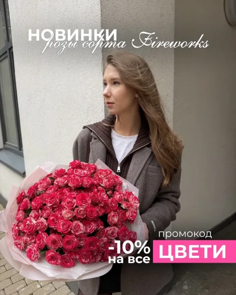 Розы сорта Fireworks — яркий витаминный заряд для борьбы с октябрьской серостью — фото 1