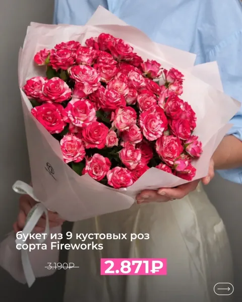 Розы сорта Fireworks — яркий витаминный заряд для борьбы с октябрьской серостью — фото 2