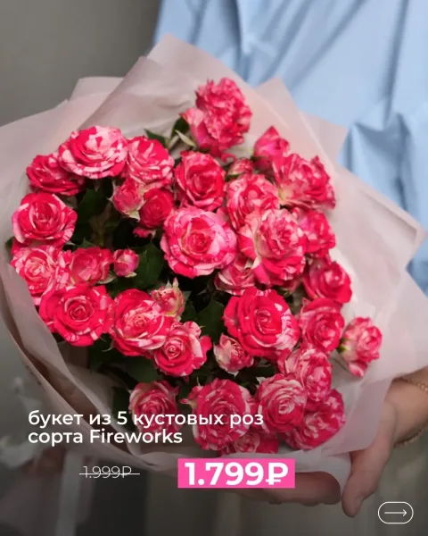 Розы сорта Fireworks — яркий витаминный заряд для борьбы с октябрьской серостью — фото 4