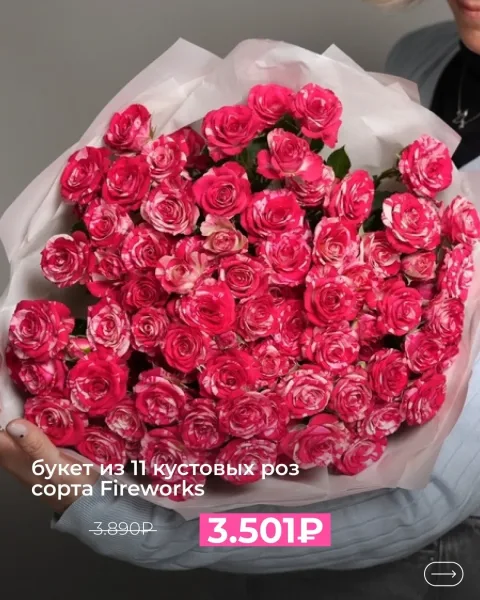 Розы сорта Fireworks — яркий витаминный заряд для борьбы с октябрьской серостью — фото 5