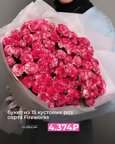 Розы сорта Fireworks — яркий витаминный заряд для борьбы с октябрьской серостью — фото 7