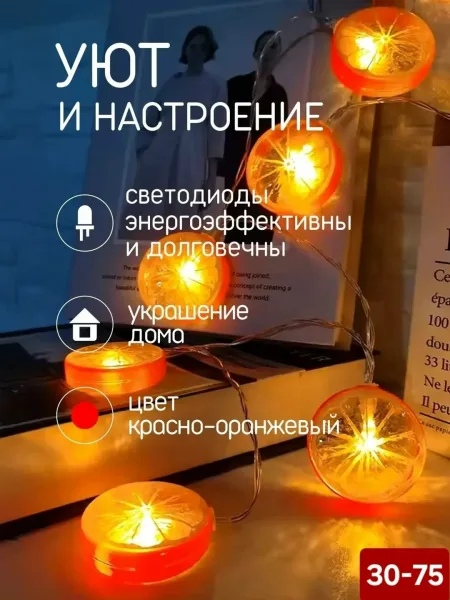 Гирлянда апельсины 6м — фото 4