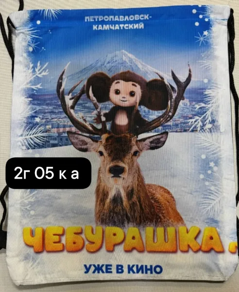 Сумка для обуви 35× — фото 2