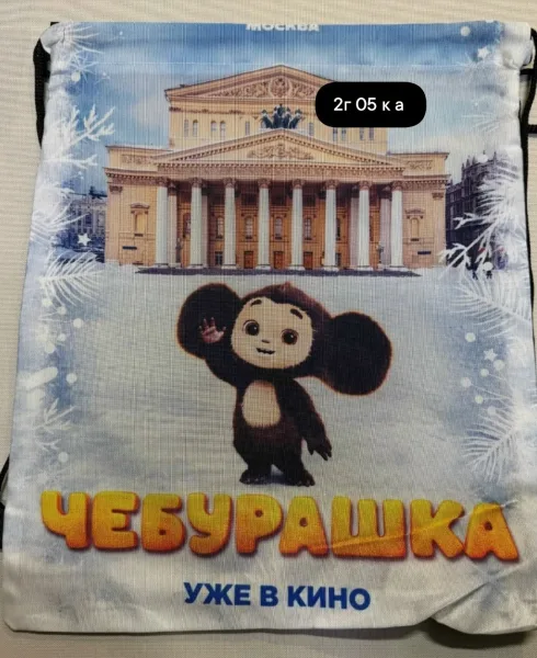 Сумка для обуви 35× — фото 4