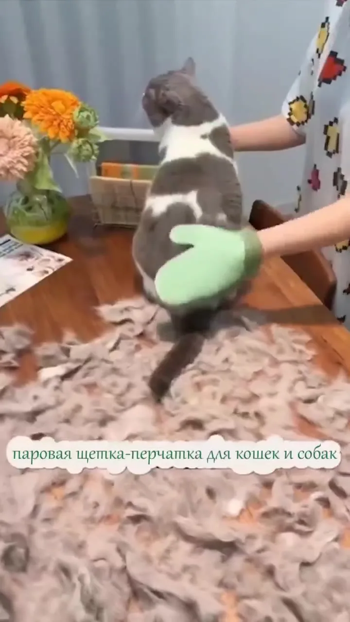 Перчатка расческа для вычесывания шерсти у кошек и собак — видео