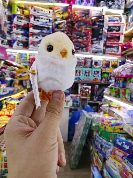 Заводная игрушка птица — фото 4