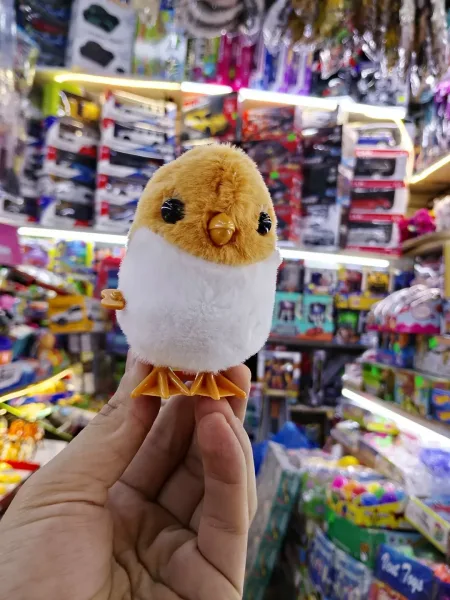 Заводная игрушка птица — фото 6