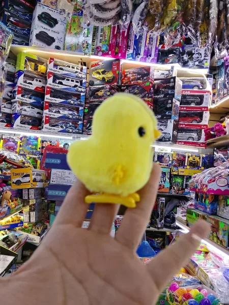 Заводная игрушка утка — фото 7