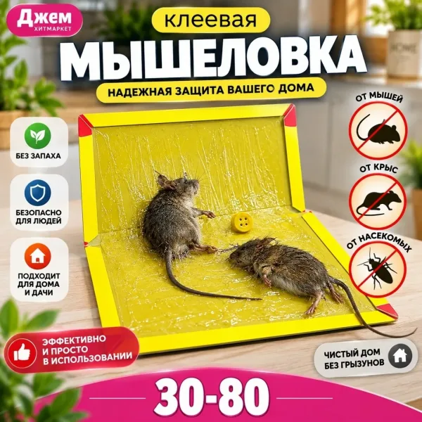Клеевая мышеловка — фото 1